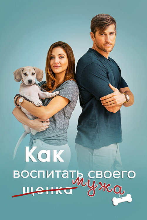 Постер фильма «Как воспитать мужа»