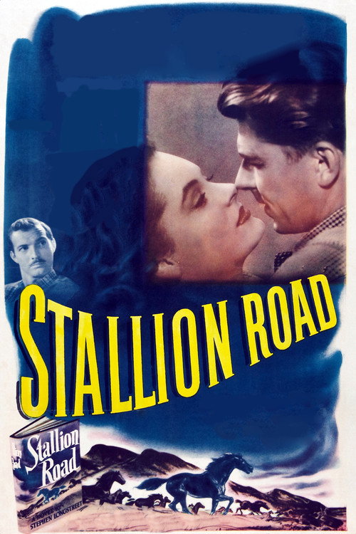 Постер фильма «Stallion Road»