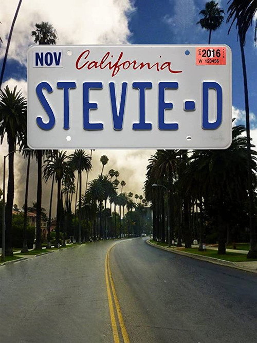 Постер фильма «Stevie D»