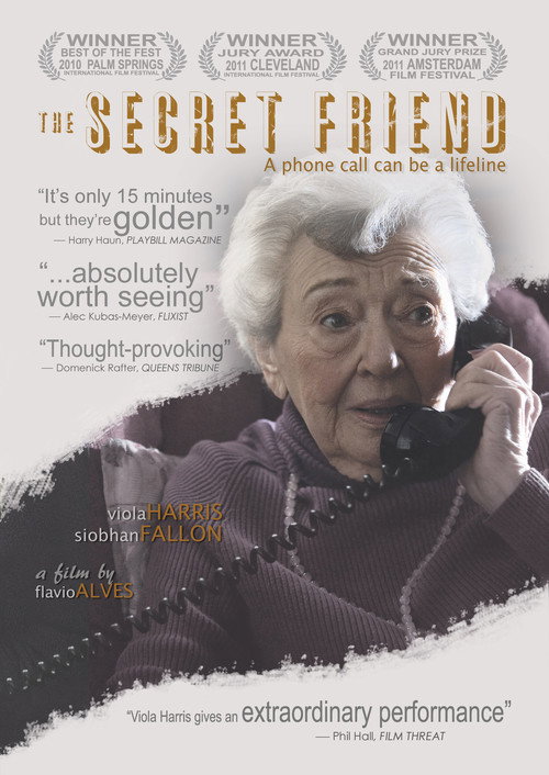 Постер фильма «The Secret Friend»