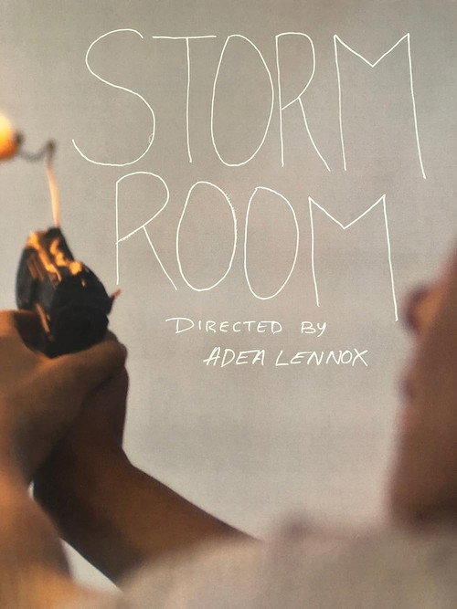 Постер фильма «Storm Room»