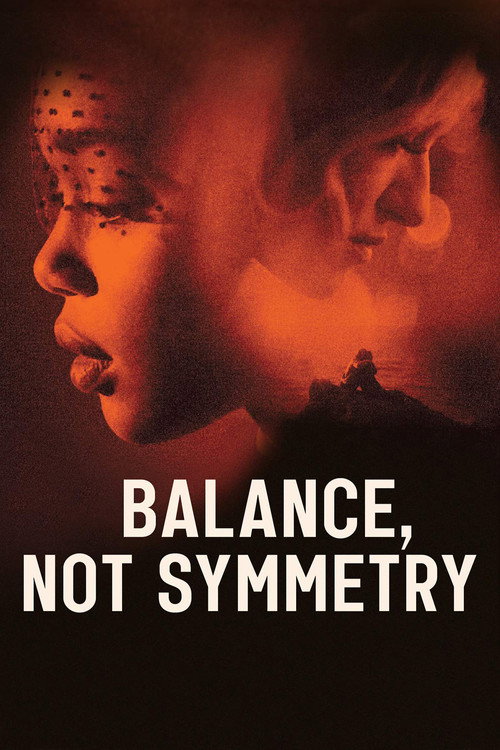 Постер фильма «Balance, Not Symmetry»