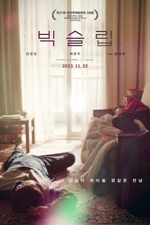 Постер фильма «빅슬립»