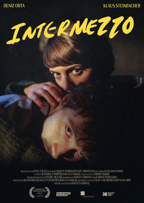 Постер фильма «Intermezzo»
