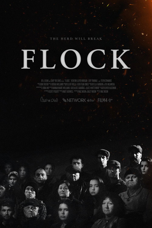 Постер фильма «Flock»