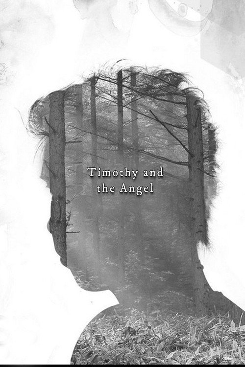 Постер фильма «Timothy and the Angel»