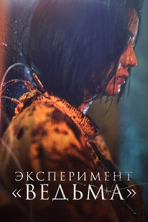 Постер фильма «Эксперимент «Ведьма»»