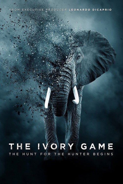 Постер фильма «The Ivory Game»