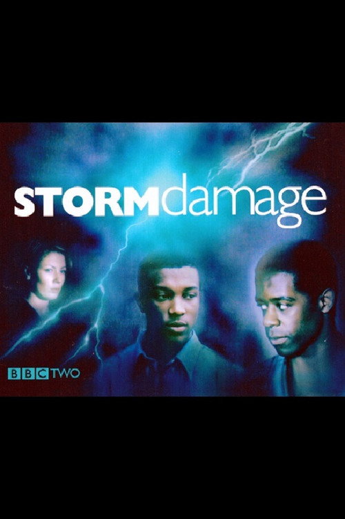 Постер фильма «Storm Damage»