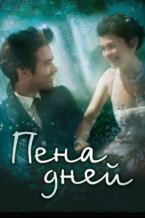 Постер фильма «Пена дней»