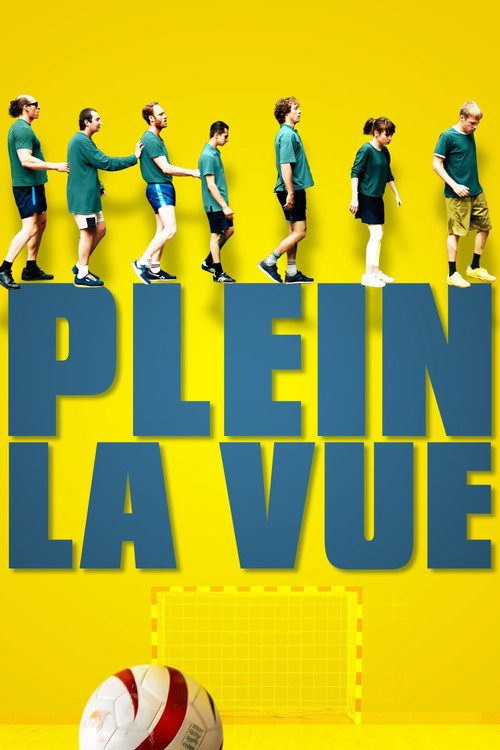 Постер фильма «Plein la vue»