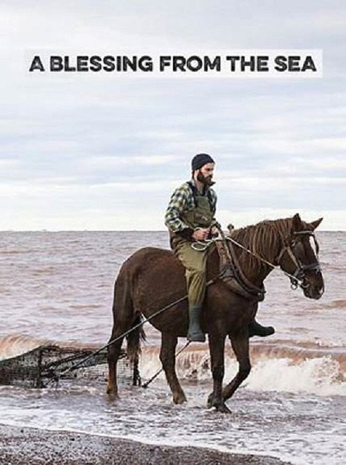 Постер фильма «A Blessing from the Sea»