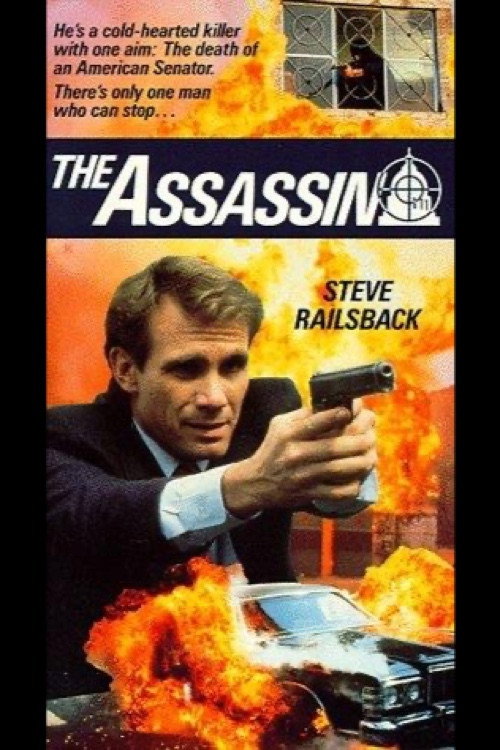 Постер фильма «The Assassin»