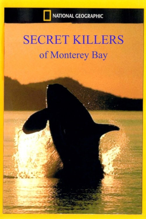 Постер фильма «Secret Killers of Monterey Bay»