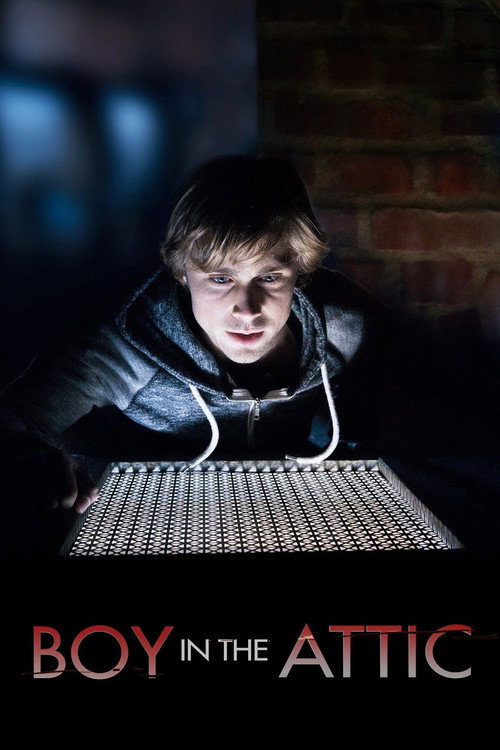 Постер фильма «Secrets in the Attic»