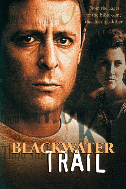 Постер фильма «Blackwater Trail»