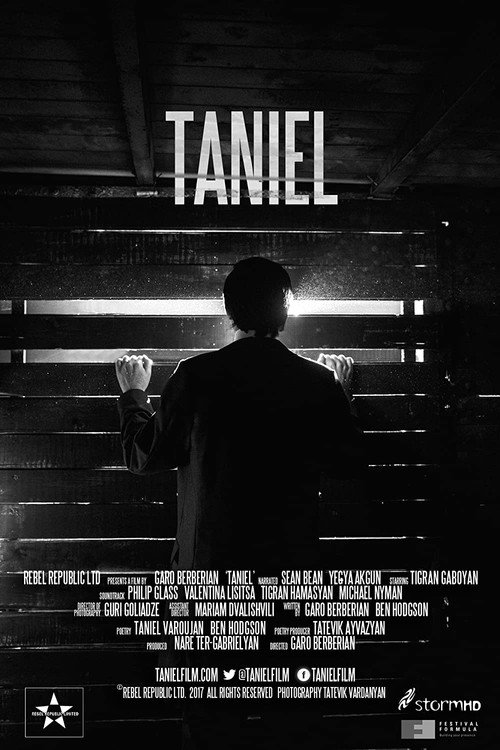 Постер фильма «Taniel»