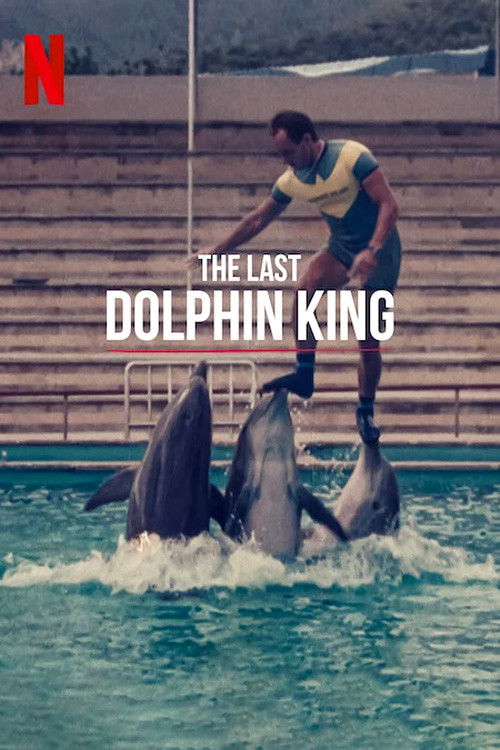Постер фильма «¿Qué le pasó al rey de los delfines?»