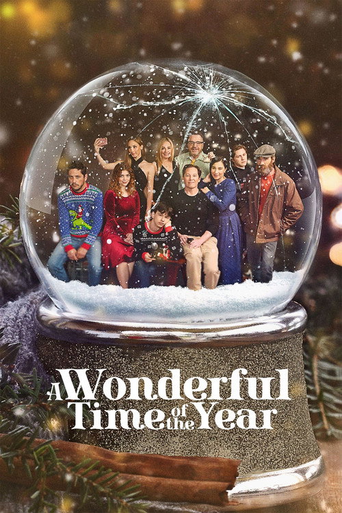 Постер фильма «A Wonderful Time of the Year»