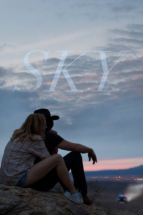 Постер фильма «Sky»