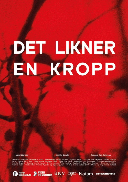 Постер фильма «Det likner en kropp»