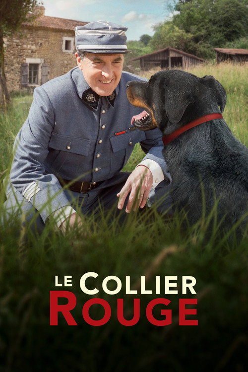 Постер фильма «Le Collier rouge»