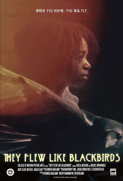Постер фильма «They Flew Like Blackbirds»