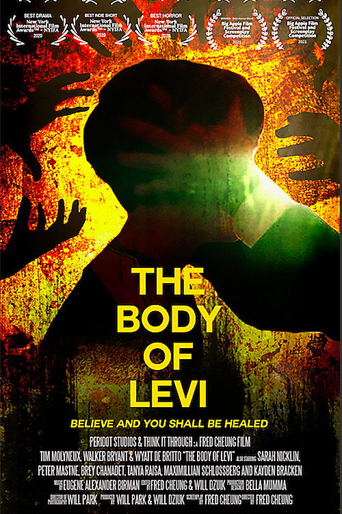 Постер фильма «The Body of Levi»