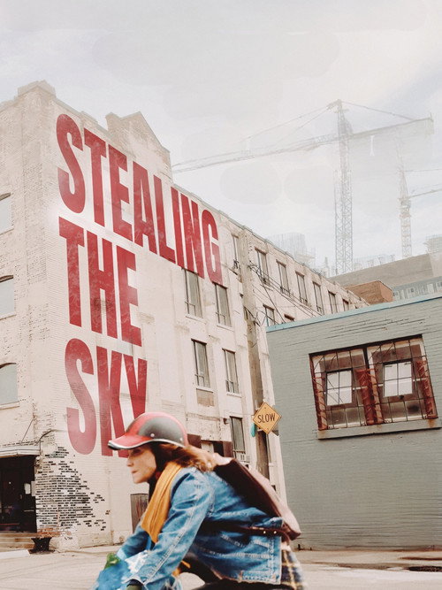 Постер фильма «Stealing the Sky»