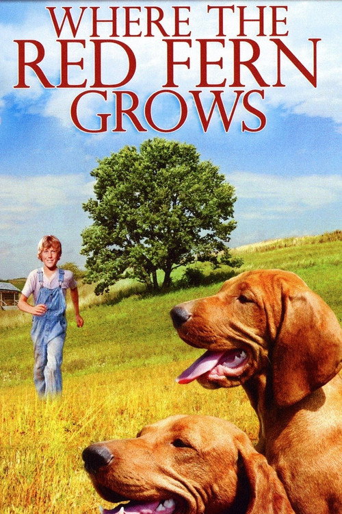 Постер фильма «Where the Red Fern Grows»
