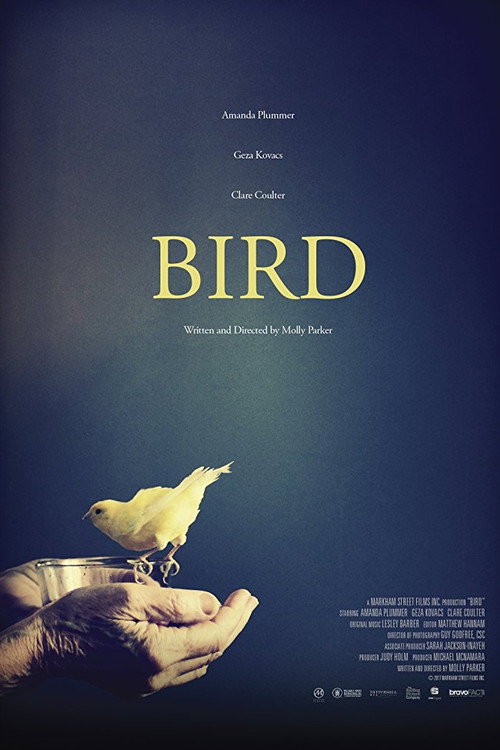 Постер фильма «Bird»