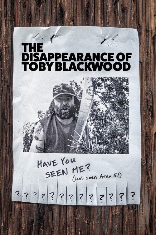 Постер фильма «The Disappearance of Toby Blackwood»