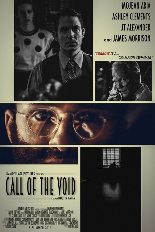Постер фильма «Call of the Void»