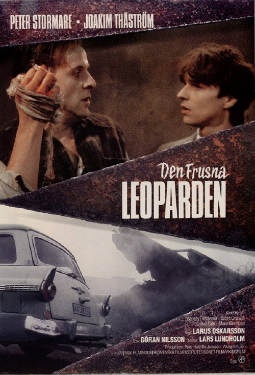Постер фильма «Den frusna leoparden»