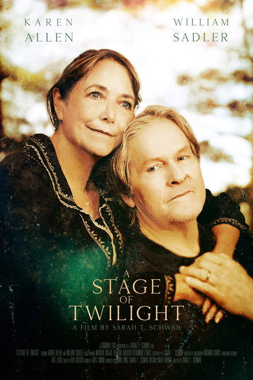 Постер фильма «A Stage of Twilight»