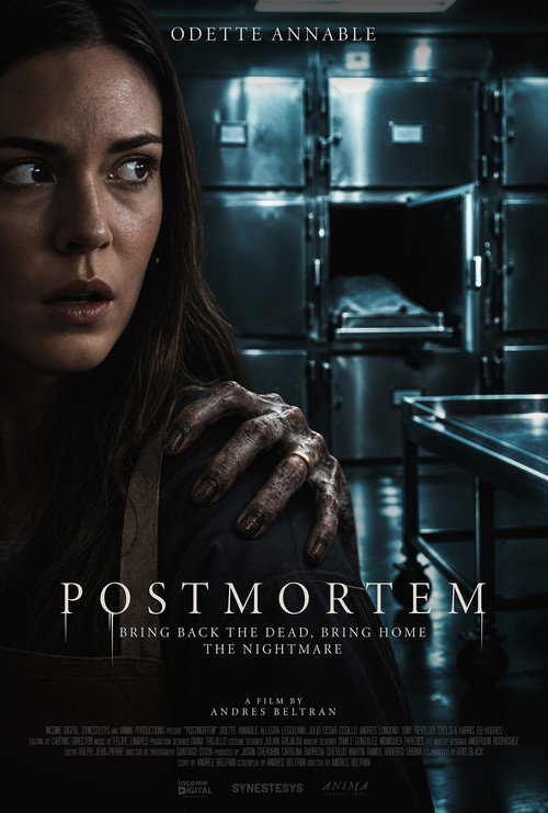 Постер фильма «Postmortem»