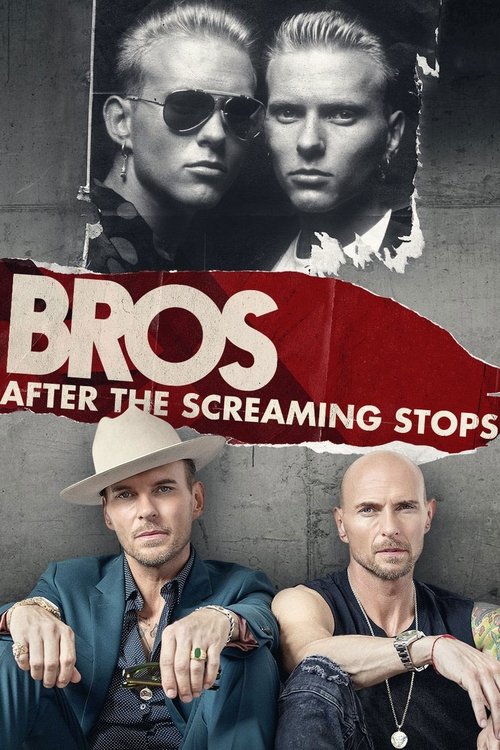 Постер фильма «After the Screaming Stops»