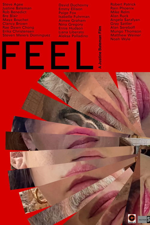 Постер фильма «FEEL»
