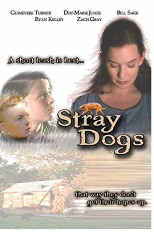 Постер фильма «Stray Dogs»