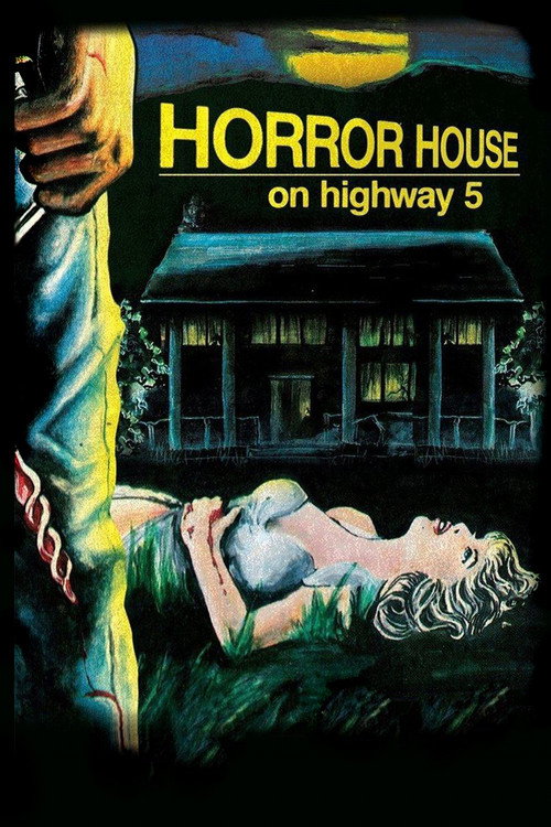 Постер фильма «Horror House on Highway Five»