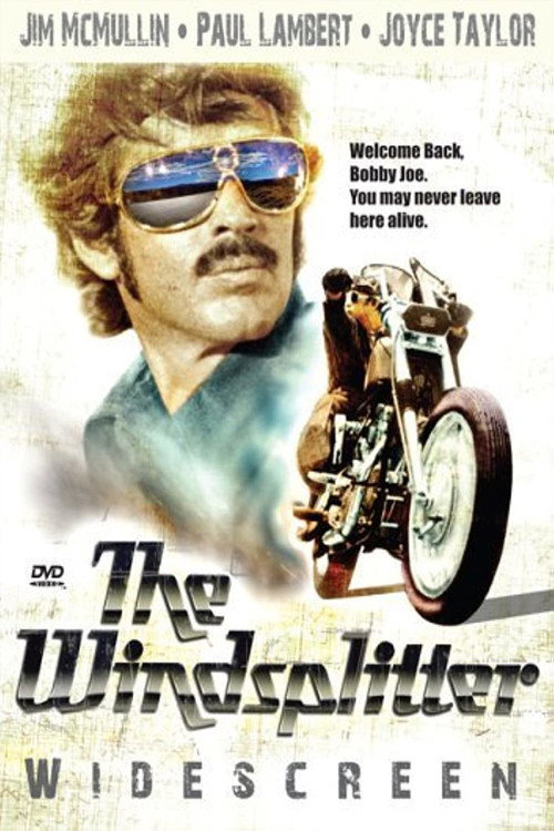 Постер фильма «The Windsplitter»