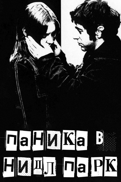 Постер фильма «Паника в Нидл-парке»