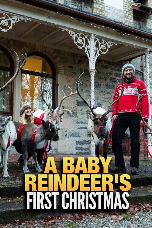 Постер фильма «A Baby Reindeer's First Christmas»
