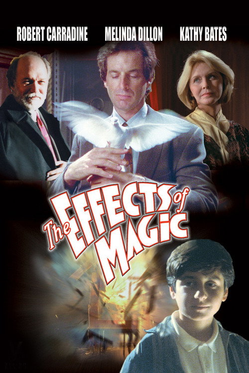 Постер фильма «The Effects of Magic»