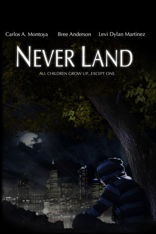 Постер фильма «Never Land»