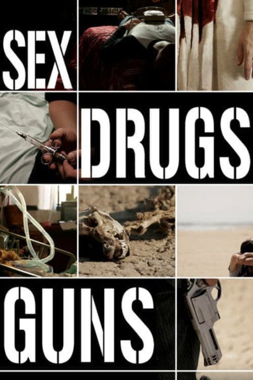 Постер фильма «Sex Drugs Guns»