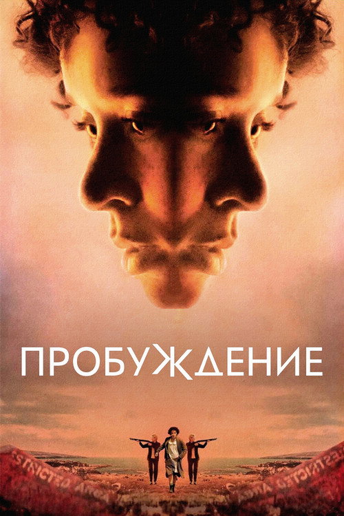 Постер фильма «Пробуждение»
