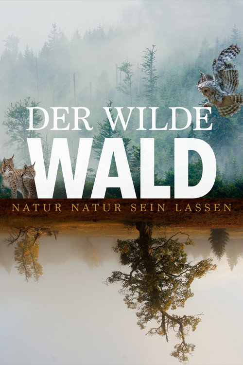 Постер фильма «Der wilde Wald»