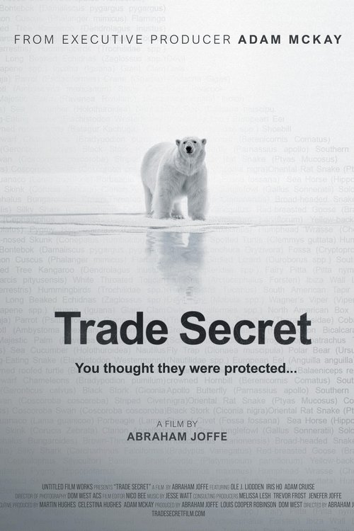 Постер фильма «Trade Secret»