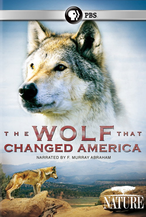Постер фильма «Lobo: The Wolf That Changed America»